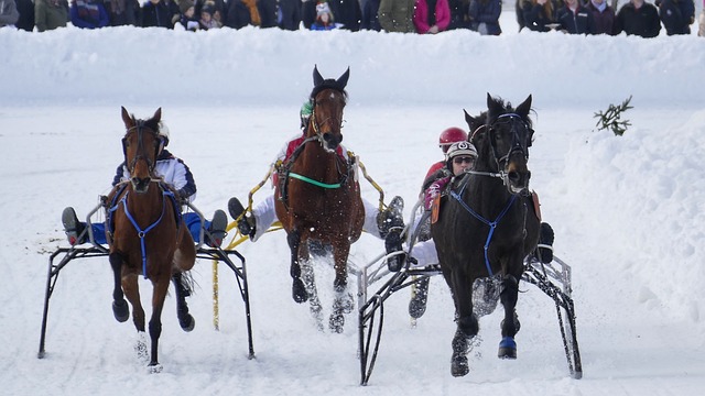 虽然整体技 虽然整体技