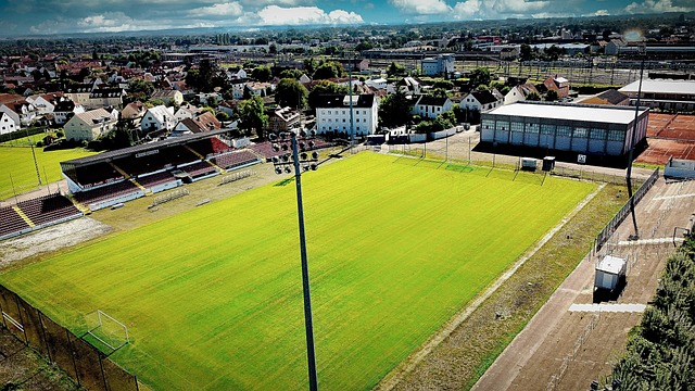 他本赛季同 他本赛季同