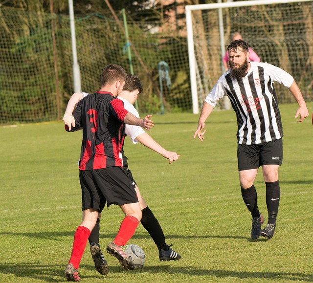 快船管理层 快船管理层