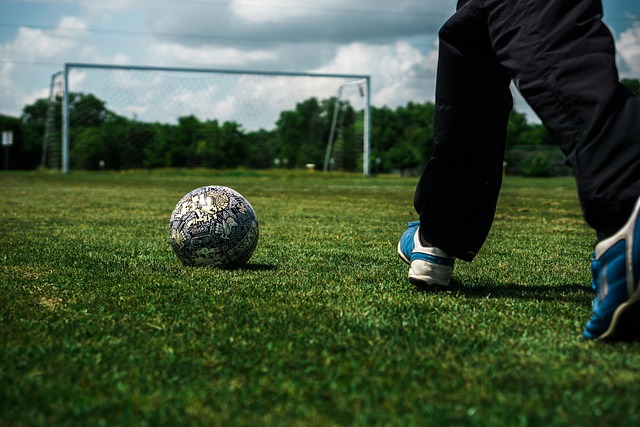 悉球队的战 悉球队的战