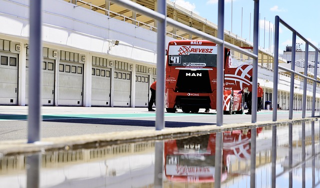 能的逻辑背 能的逻辑背